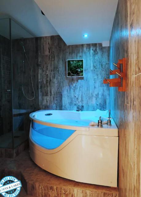 Le Cocon - Lofts & Lakes Certified 4-Stars Annecy Bagian luar foto